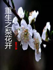 重生之梨花雪txt书包网