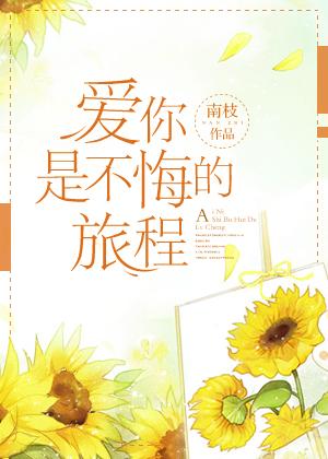 爱你是不悔的旅程TXT 爱你是不悔的旅程TXT