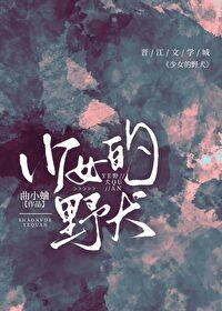 少女的野犬无错版