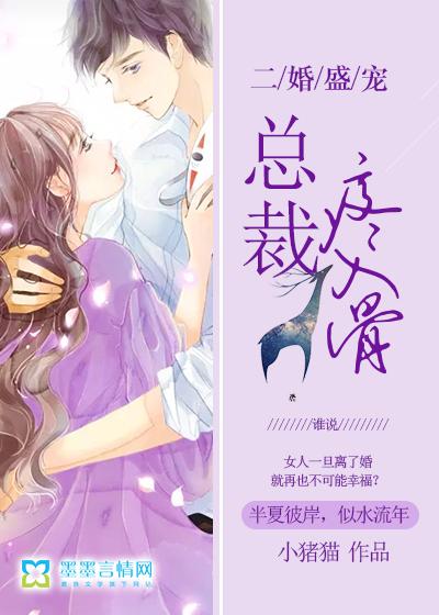 二婚盛宠总裁疼入骨 小猪猫 二婚盛宠总裁疼入骨 小猪猫