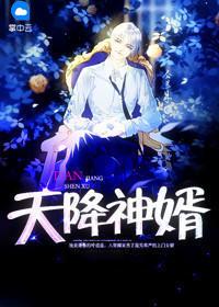 天降神婿完整版免费阅读 天降神婿完整版免费阅读