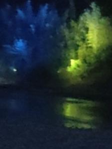 无敌剑尊:低调的王者 无敌剑尊:低调的王者